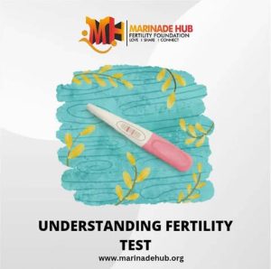 Read more about the article 