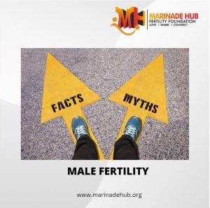 Read more about the article Debunking Common Myths About Male Fertility.